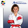 Karategi Onyx Zuurstof Premier League WKF - Arawaza
