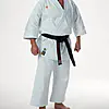 karategi