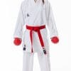 Karategi Tokaido Kumite Master Raw Premier League - WKF 1 Karategi Tokaido Kumite Master Raw Premier League