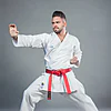 Ko Italia