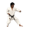 kimono-regelmatig