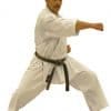 Kimono Shureido Sempai Toernooi TK11 - Wit-gyaku-tsuki