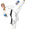 Karategi Tokaido Hayate