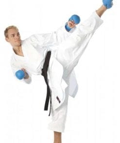 Karategi Tokaido Hayate