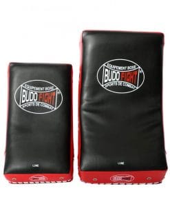 Budo Fight