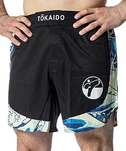 Korte Tsunami Tokaido
