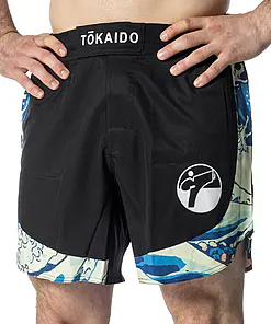 Korte Tsunami Tokaido