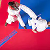 Tatami ProGame WKF goedgekeurd - Puzzel 2 cm 10 tatami-spel