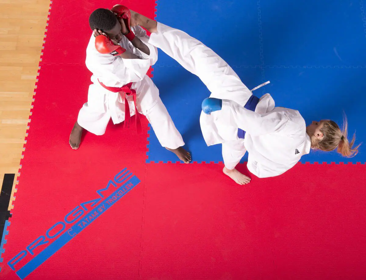 Tatami ProGame WKF goedgekeurd - Puzzel 2 cm 6 tatami-spel