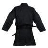 Budo Fight