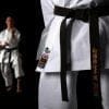 Kimono JACKET Shureido New Wave 3 - WKF Approved karategi team-vrouwen-zoom-label